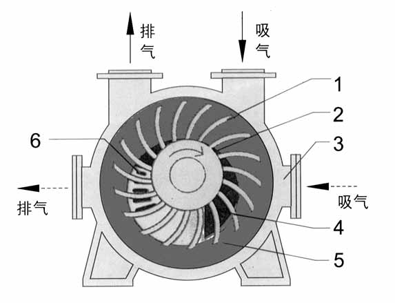 2BE1水环式半岛(中国)结构图